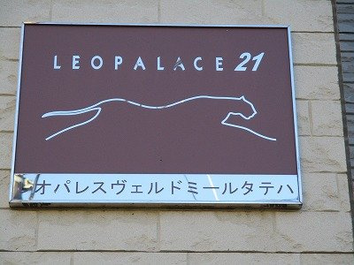 レオパレスヴェルドミールタテハのその他