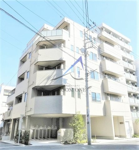 モンステラの外観|外観です。