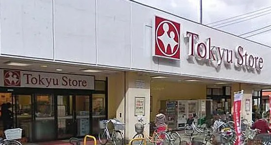 日神パレステージ東長崎の周辺
