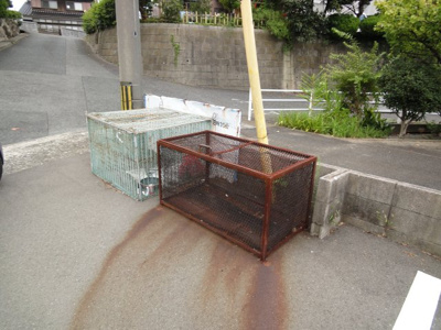 【その他】 | ロッジスワン