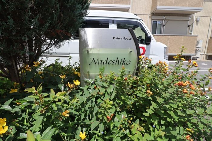 Nadeshikoのその他