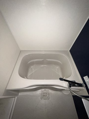ラ・フォルム鎗屋町の浴室