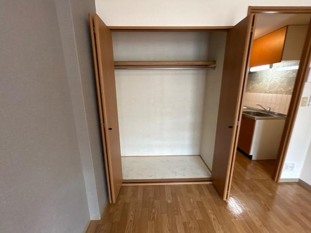 ラフィーヌ上野田Ⅱの収納|クローゼット