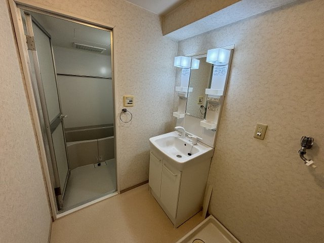 メゾンヴェールの洗面所