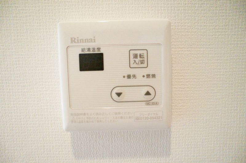 リブリ・プモリⅢのその他