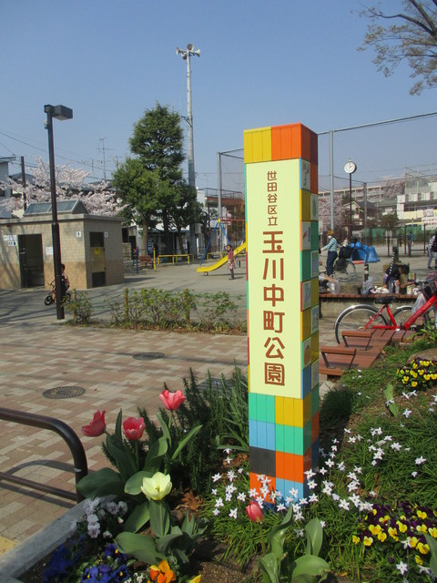 アザレアのその他|玉川中町公園