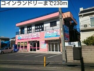 【その他】 | マーサ　ベル