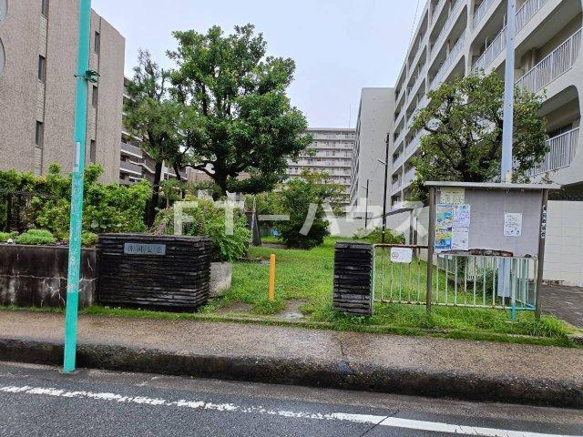 Lilieのその他