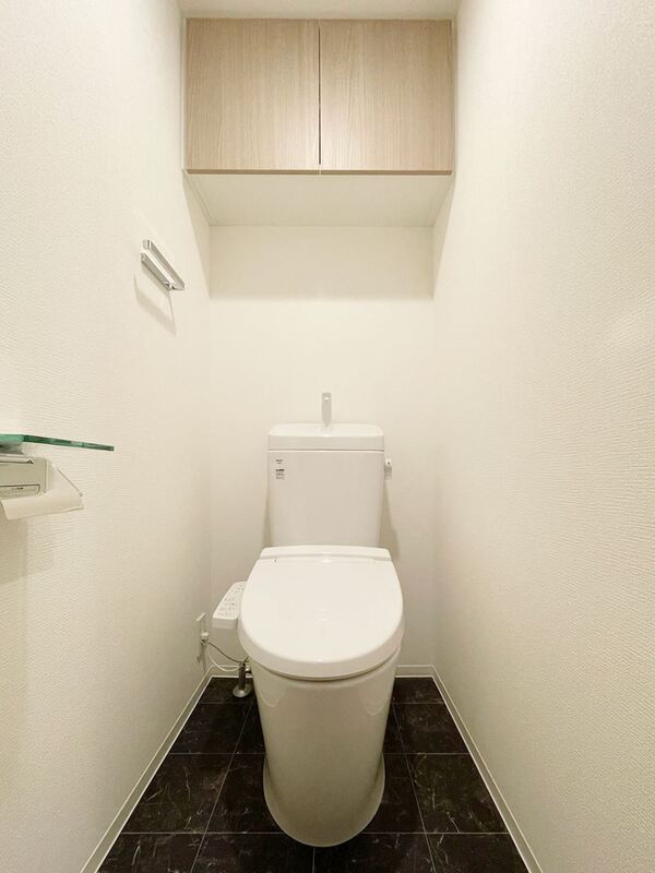 S-RESIDENCE新宿早稲田avelisのトイレ