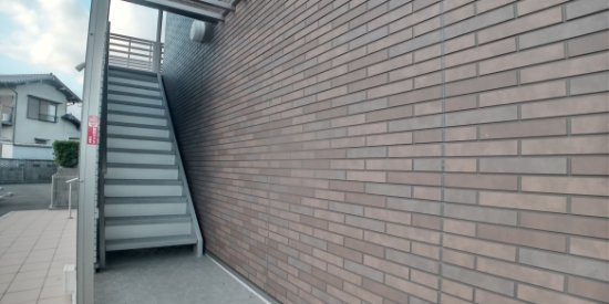 ミランダ広渡のその他