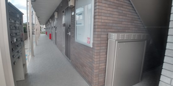 ミランダ広渡のその他