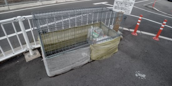 クレイノパストラルⅡのその他