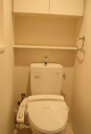 豊島区巣鴨４丁目の賃貸マンションのトイレ