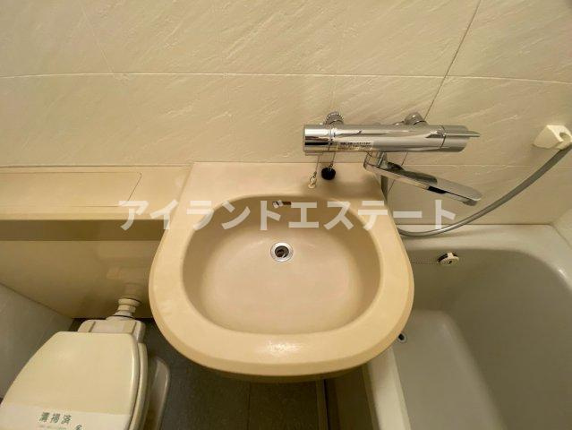 LANAI　COMFORT　15　南向き　2面採光　オートロックの洗面所