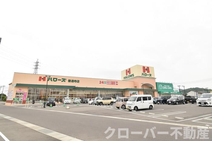 ピュアハイツ生野の周辺|ハローズ善通寺店まで１，０５３ｍ