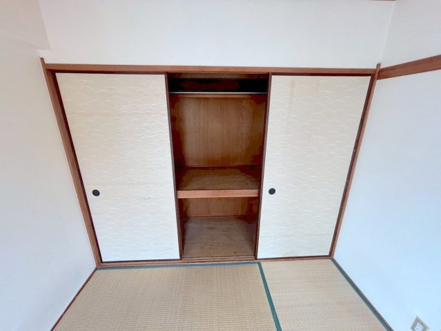 セントポーリアの収納