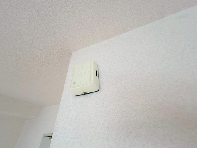 セントポーリアのセキュリティ