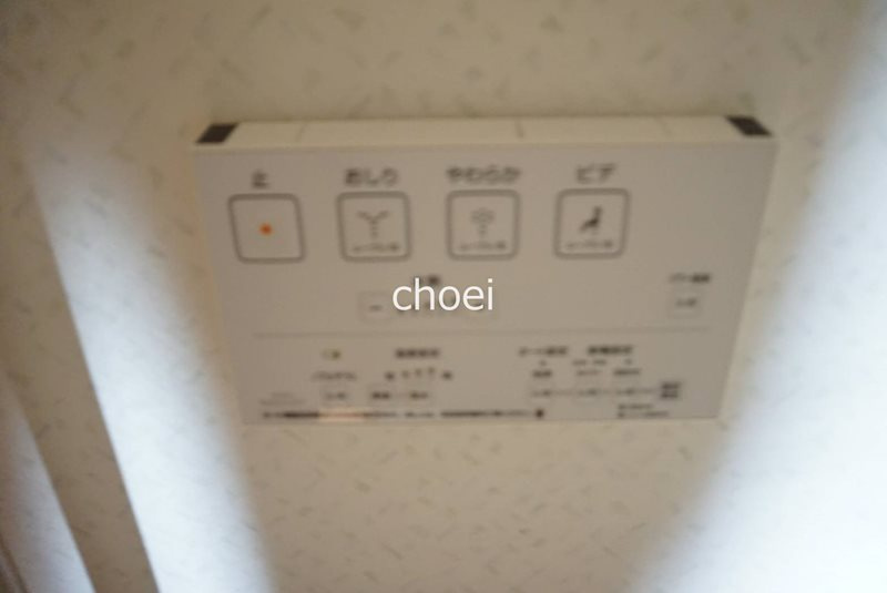 マンショングレース のその他