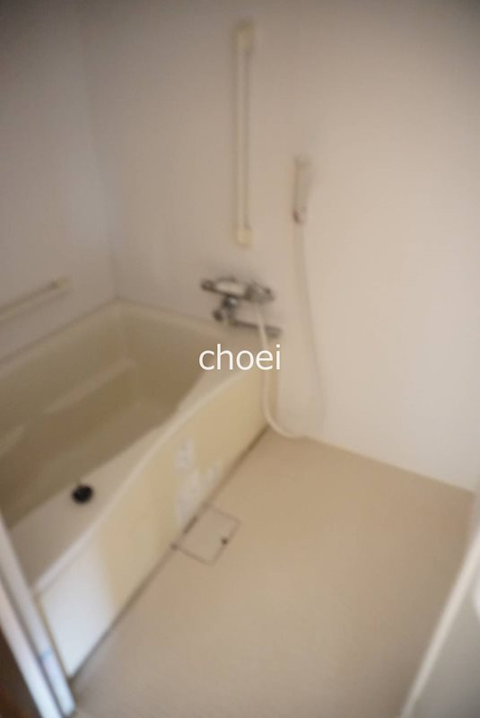 マンショングレース の浴室