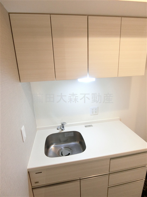 M-1 Tokyo蒲田のキッチン|IHキッチン　