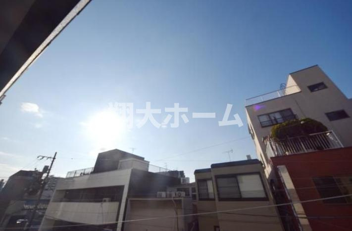 レッドウィングの展望