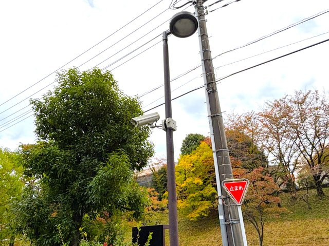 防犯対策に敷地内各所に防犯カメラが設置されています。