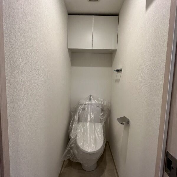 大阪市淀川区加島１丁目の賃貸マンションのトイレ|トイレも気になるポイント