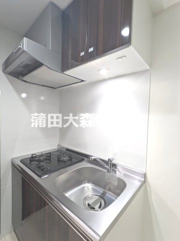 LEXEレグゼ矢口渡のキッチン|2口ガスシステムキッチン