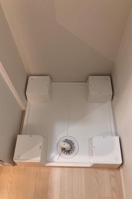 ドエルシバマタのその他