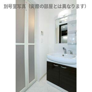 エステムコート名古屋黒川シャルマンの洗面所
