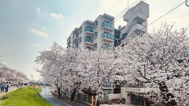 【外観】 | ファミール登戸