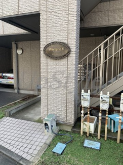 【エントランス】 | ウィステリアⅤ
