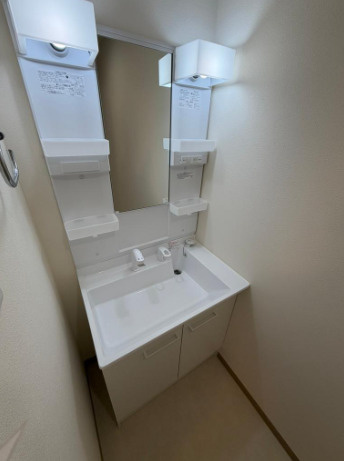 文京区本駒込３丁目の賃貸マンションの洗面所