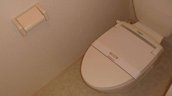 セジュールⅠのトイレ