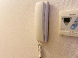 ブランドールのセキュリティ