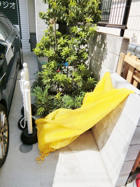 エムズハウスのその他共用部分