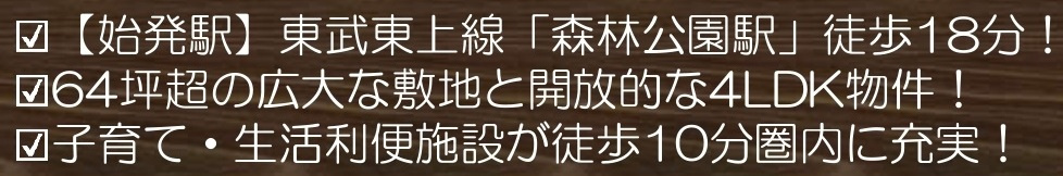 【仲介手数料無料】新築戸建　東松山市松山町3-6の構造・工法・仕様