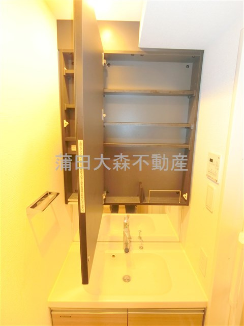 ルフォンプログレ糀谷の洗面所