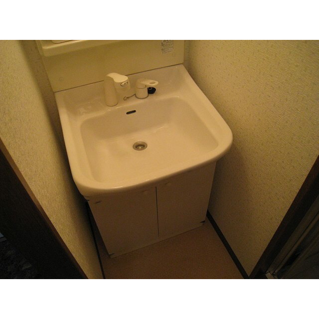 川口市東川口５丁目の賃貸マンションの洗面所