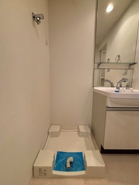 プレサンス錦プレミアムの洗面所
