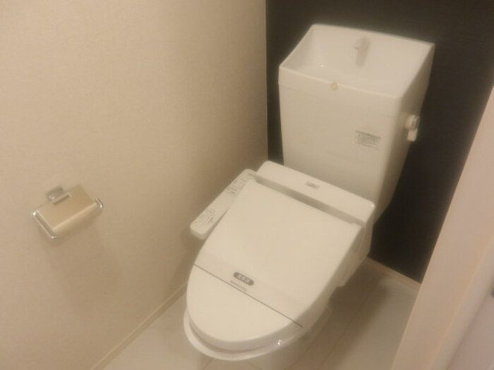 メタセコイアのトイレ