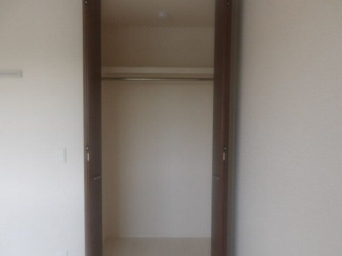 メタセコイアの収納