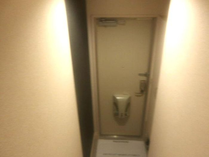 メタセコイアの玄関