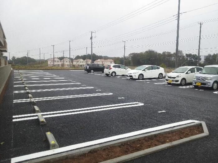 メタセコイアの駐車場