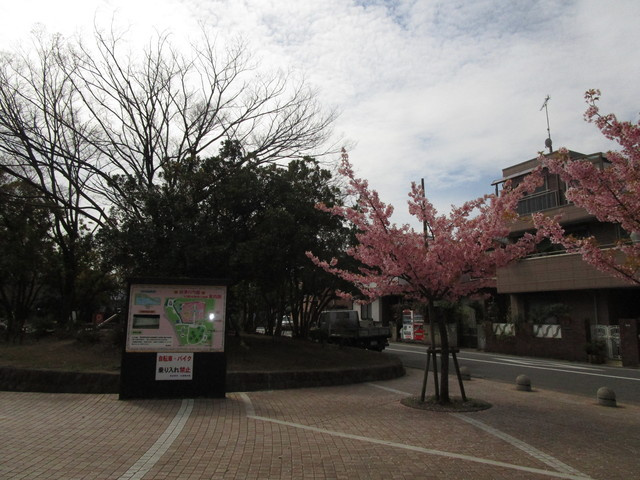 メゾン花時計のその他|谷津公園