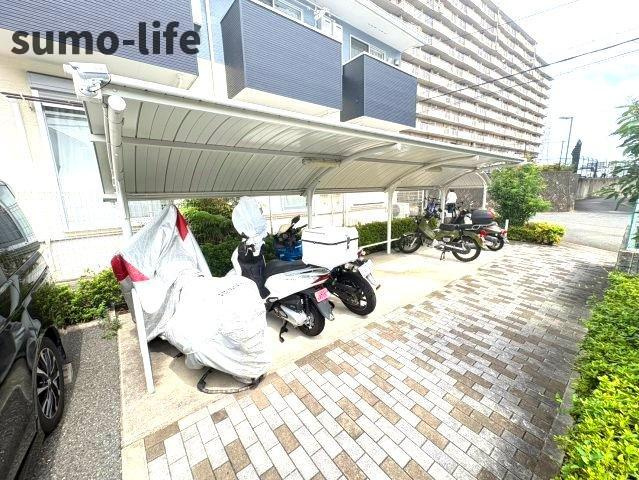 ドミール・エモアのその他