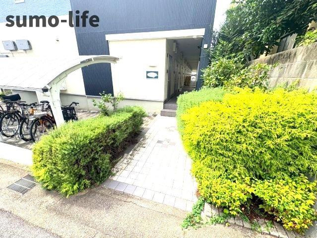 ドミール・エモアのロビー