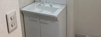 フラワーコーポの独立洗面台