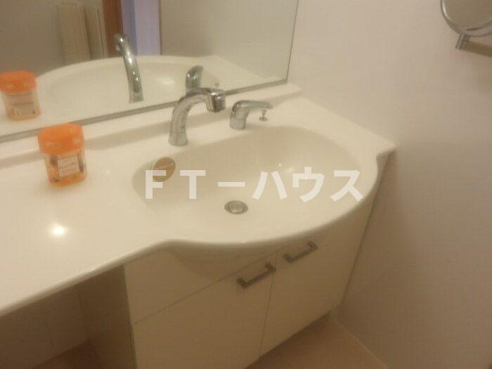 ロイヤルコートCの洗面所