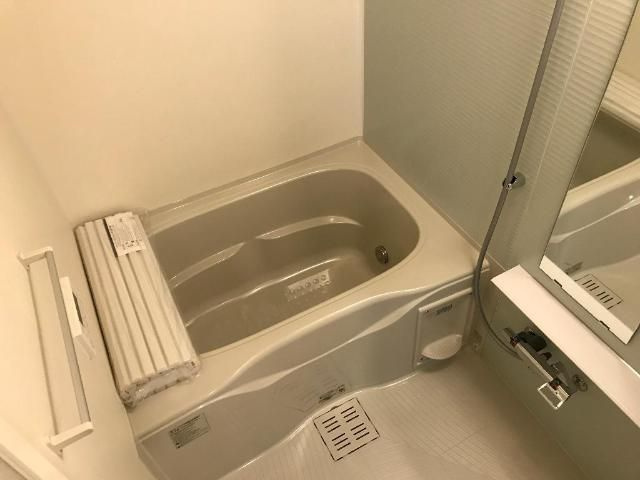マハロプルメリアの浴室